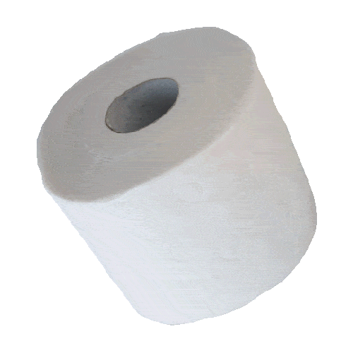 Rotating toilet roll